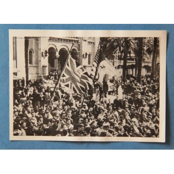 Allied Occupation of Tunis (1943)