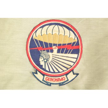 501st Parachute Infantry Regiment / 101st Airborne   