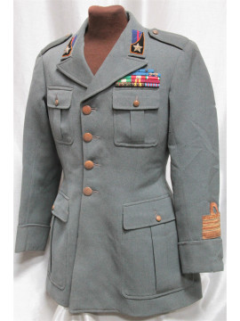 VESTE D'UN COLONEL DU...
