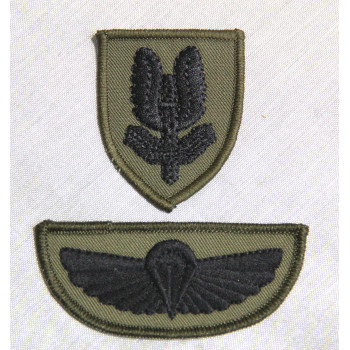 SAS WINGS AND BERET BADGE SUBDUED